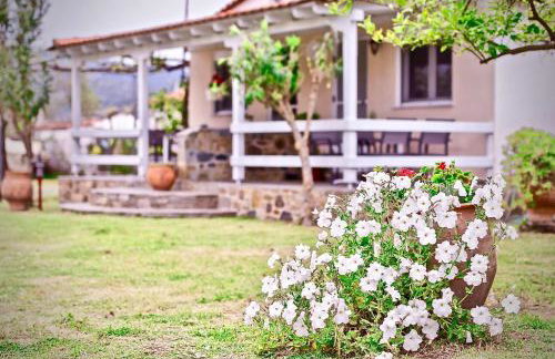 Nina Holidays - Foto 17