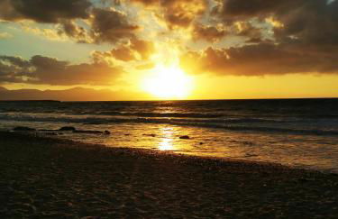 Azienda Agrituristica Baglio Carta - Foto 30