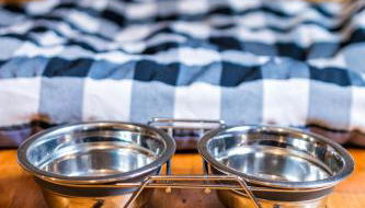 Alda Fogar Natural - Photo 3