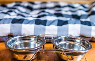 Alda Fogar Natural - Photo 3