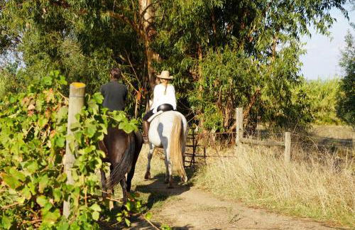 Monte dos 2 Tanques - Foto 19