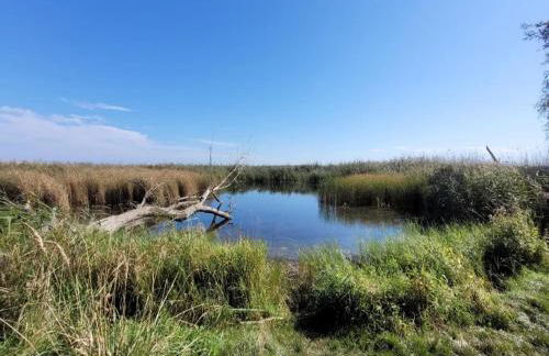 Ferienhof Neuendorfkrug, Lutow - Foto 51