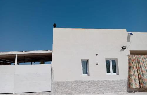 Oasi tropicale - Foto 67