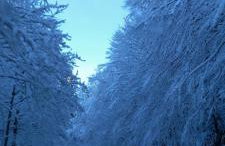 Prigorka, a fairytale house - Foto 19