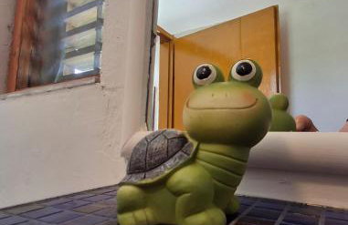 Benkovac sobe - Foto 11