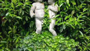 Domaine du Bosc Roger - Privatisation - Foto 4, Garden