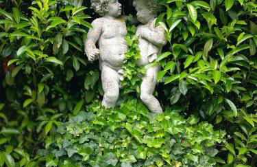 Domaine du Bosc Roger - Privatisation - Foto 4