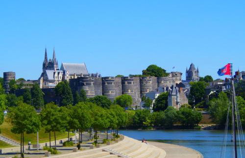 a 10 mn d Angers petite maison indépendante - Photo 14