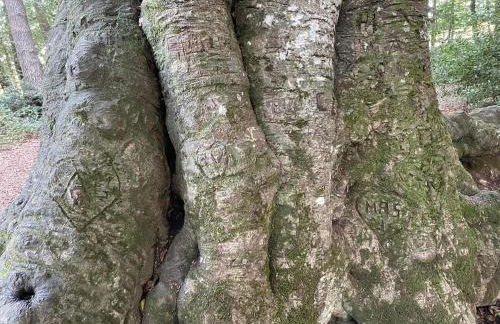 Lieu paisible et indépendant - Foto 47