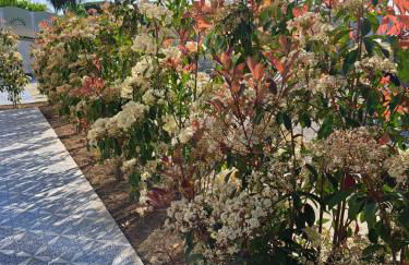 Paomà Sorrento - Foto 45