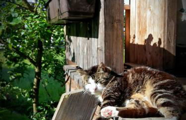 Ferienwohnung Höfler - Foto 31