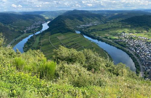 Ferienwohnung Feiden Eifel-Mosel Lounge - Foto 33