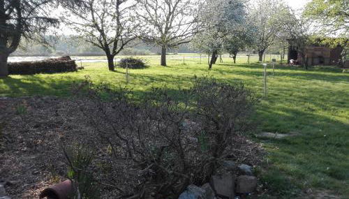 Les jardins des coccinelles - Photo 2, Garden view