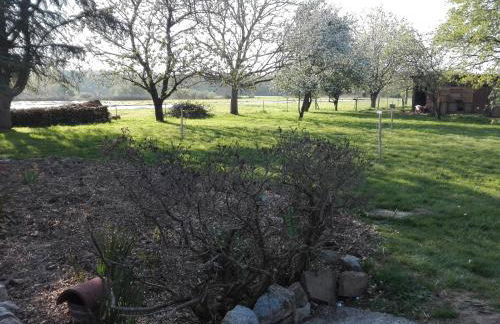 Les jardins des coccinelles - Foto 2