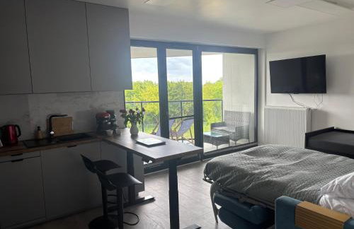 Apartament LauraOLX nad Zegrzem z dostępem do wody - Foto 14