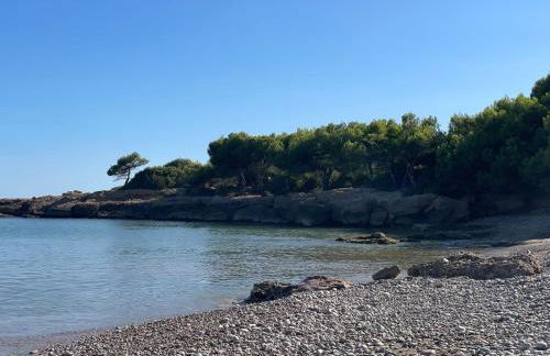 Pis la rapita - Foto 36