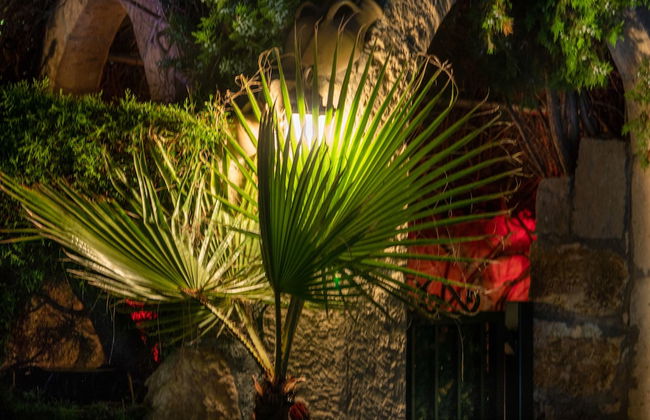 Apollonia Holiday Apartments - Foto 21