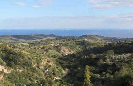 Fattoria Armonia - Foto 13