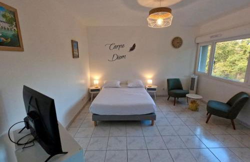 Studio cosy Tours-Sud - Photo 1