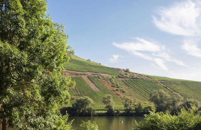 Spacious Holiday Home in Briedel Near River Mosel - Foto 28