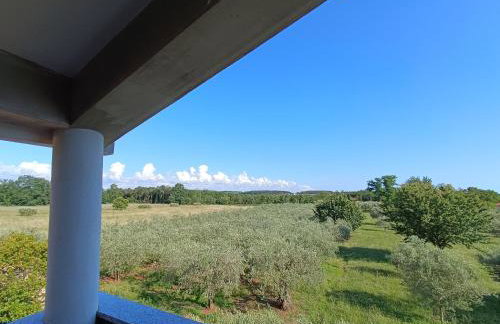 Apartman Ika Umag - Photo 7