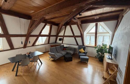 Hagnau, Irseer Hof Ferienwohnungen - Photo 15