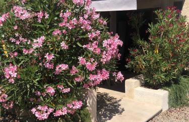 Le Cocon de Provence - Foto 22