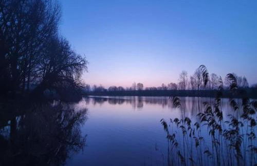 Luxuriose Ferienwohnung in Boddin mit Garten - Foto 59