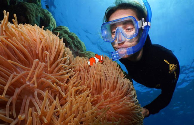 Silversonic Outer Barrier Reef Cruise from Port Douglas - Foto 5