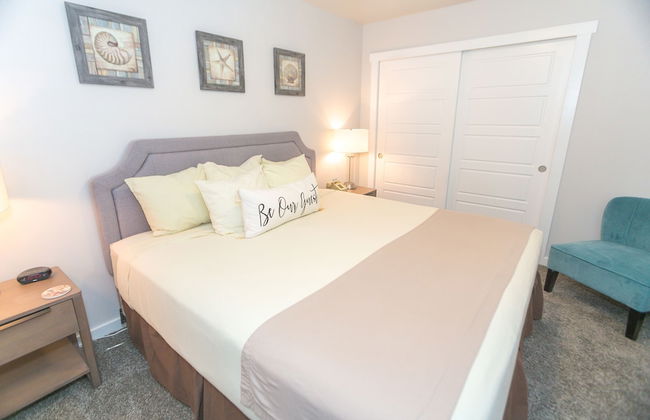 The Grey Gull - Foto 54