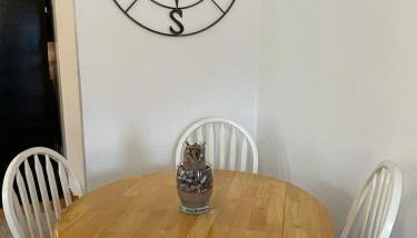 UP North Rental 906 - 2BR,1BA House in Ironwood - Foto 5