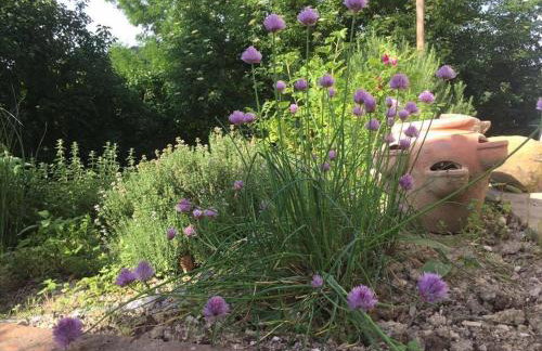 Casa Sant Angelo - Photo 67