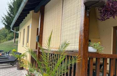 VILA LASOVIC + POOL + JACUZZI + SAUNA - Foto 40