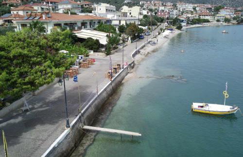 EVITA PHILOXENIA - Photo 37