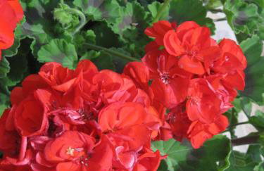 Villa "Pied-à-terre" Residence & Spa - Photo 28