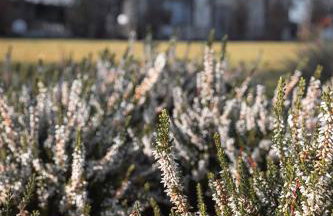 Śnieżka Exclusive Apartamenty - Foto 68