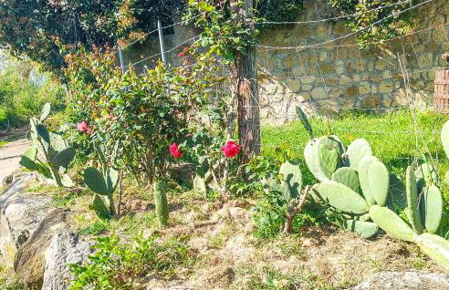 Beautiful Home In Piansano Vt - Foto 13