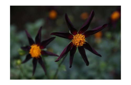 Château D'harcelaines - Foto 98