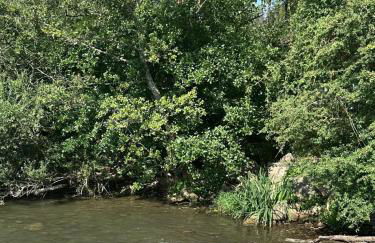 Appartement au coeur du vignoble tonnerrois - Foto 25
