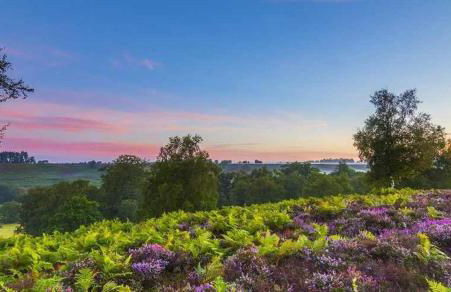 Railway Terrace - Foto 35