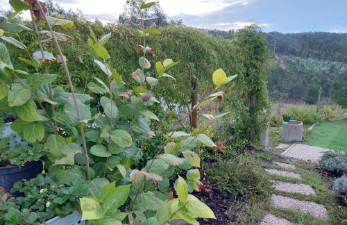 Casa Limonina - Foto 58