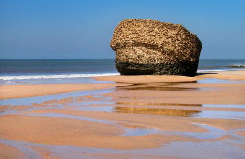 Apartamento con vistas al mar primera linea playa Matalascañas - Photo 20