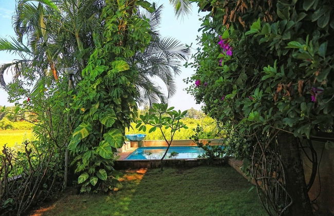 The Acacia Villa - Candy Floss - Foto 15