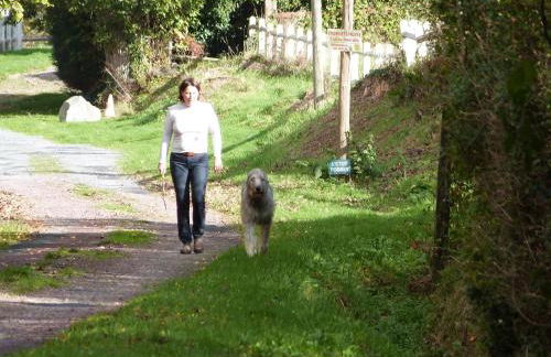 Gîte De L'Etot Fossey - Foto 19