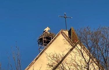 Chez Storcki - Foto 14
