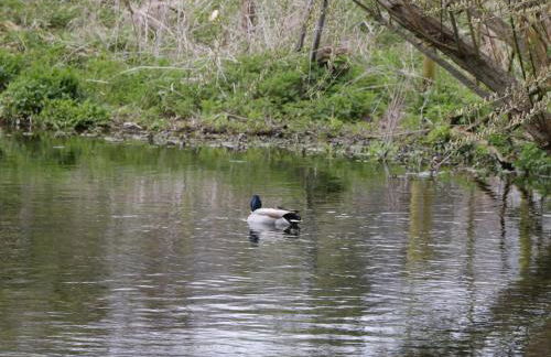 The Courtyard - Hilltop Barn - Photo 38