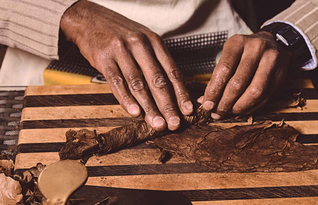 Tour do tabaco, do rum e do açúcar - Foto 5