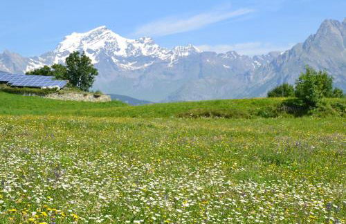 Lo Coppa Fen - Foto 47