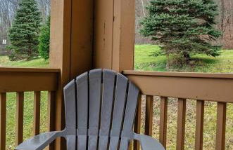 Updated Ski In Ski Out Condo Holiday Valley - Foto 40