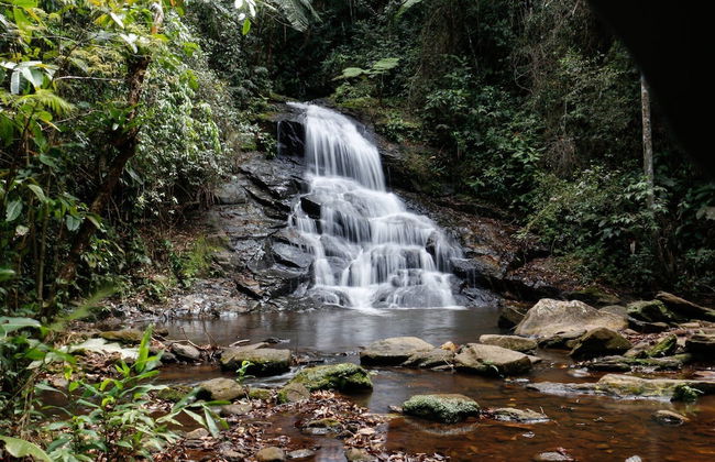 Hotel Fazenda Pé da Serra - Photo 27